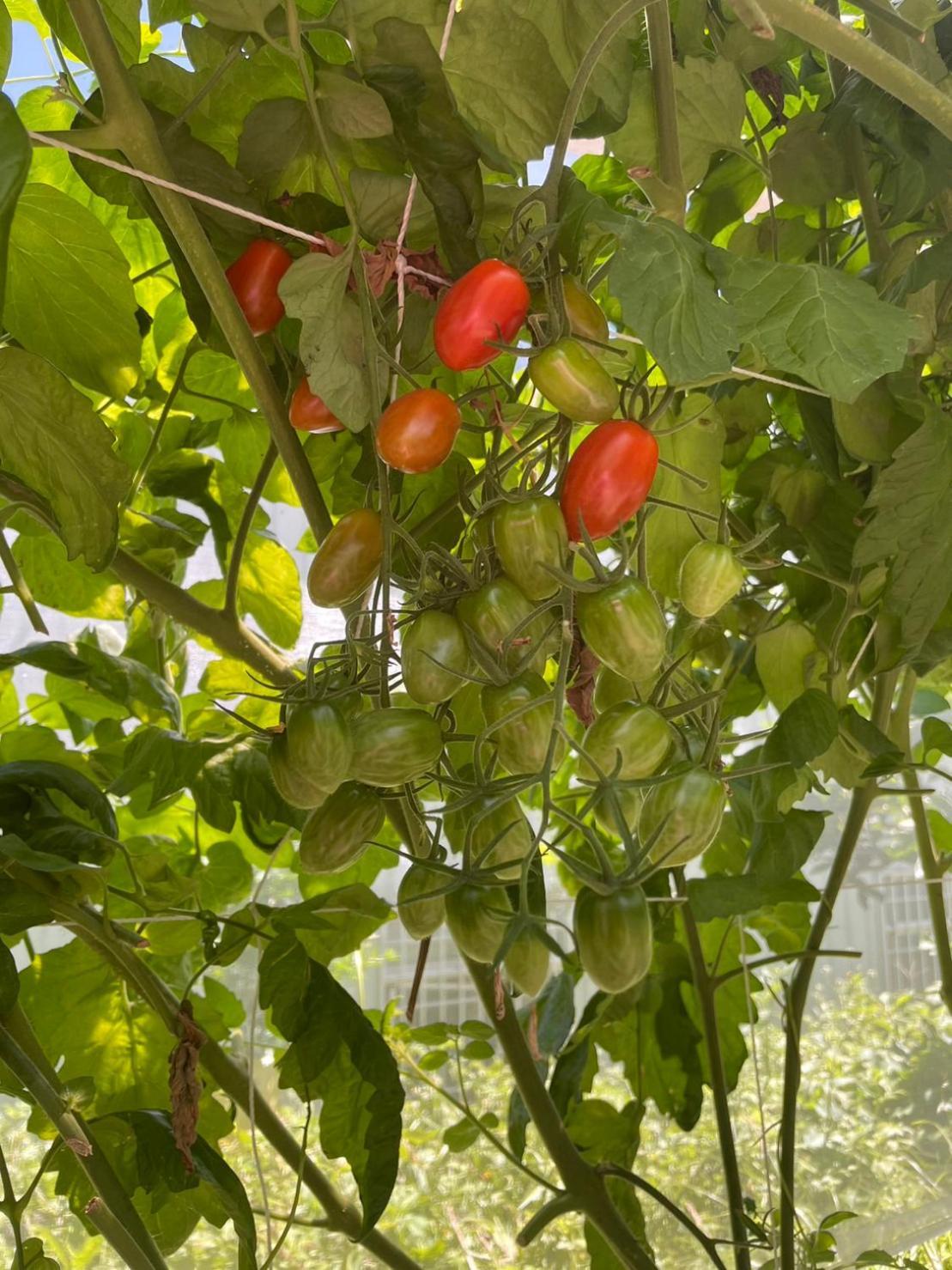 Nantou Fruit House Apartment Renai Exterior foto